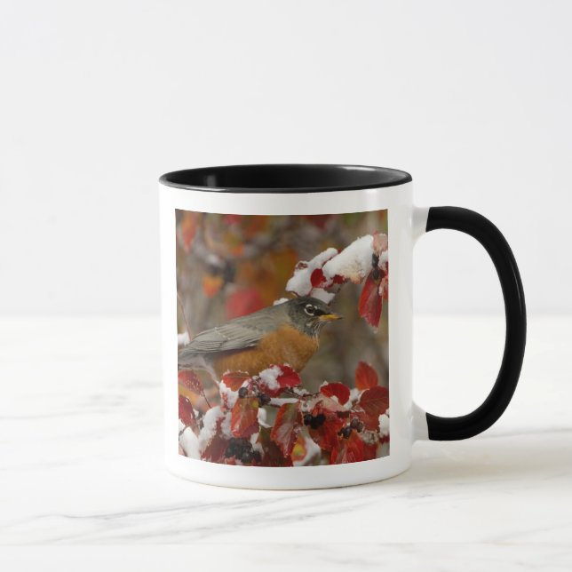 Caneca Homem Americano Robin no Black Hawthorn (Direita)