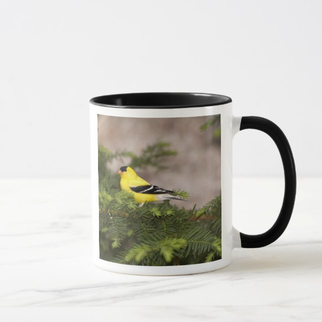 Caneca Homem Goldfinch americano numa árvore (Direita)