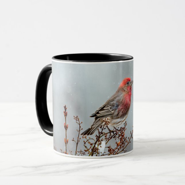 Caneca House Finch in Snow - Foto original (Frente Esquerda)