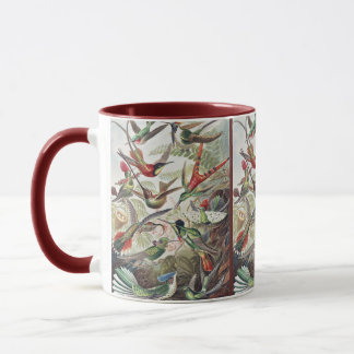 Caneca Hummingbird Bird Wildlife Classic Painting