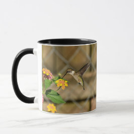 Caneca Hummingbird em Lantana 11 oz Mug
