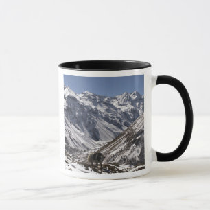 Caneca Iaque perto do Mt. Jhomolari, Jangothang Jigme Dor