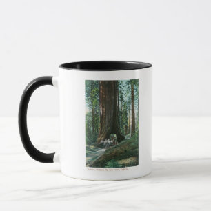 Caneca Ideia da carruagem do cavalo sob a árvore de