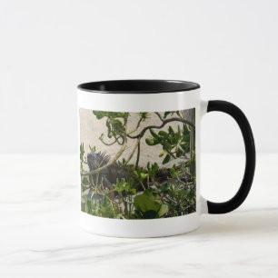 Caneca Iguana