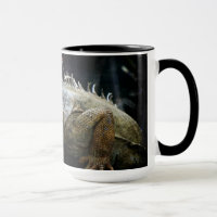 Iguana Lizard Reptile Willife Mug