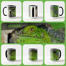 Iguana Verde Close-up Fotográfico Personalizado