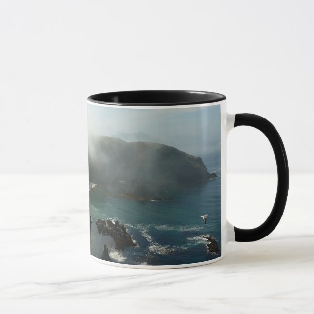 Caneca Ilha Anacapa Nebulosa em Channel Islands (Direita)