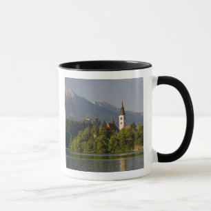 Caneca Ilha da Assunção, Lago