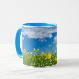 Caneca ilha de South Uist   Escócia