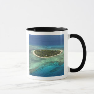 Caneca Ilha Tavarua e recife de coral, Ilhas Mamanuca