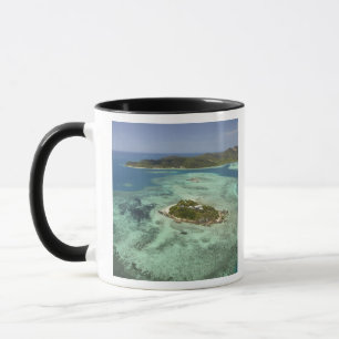 Caneca Ilha Wadigi, Ilhas Mamanuca, Fiji