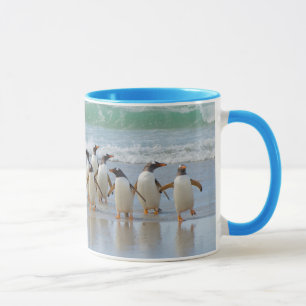 Caneca Ilhas Falkland. Ilha Saunders. Gentoo