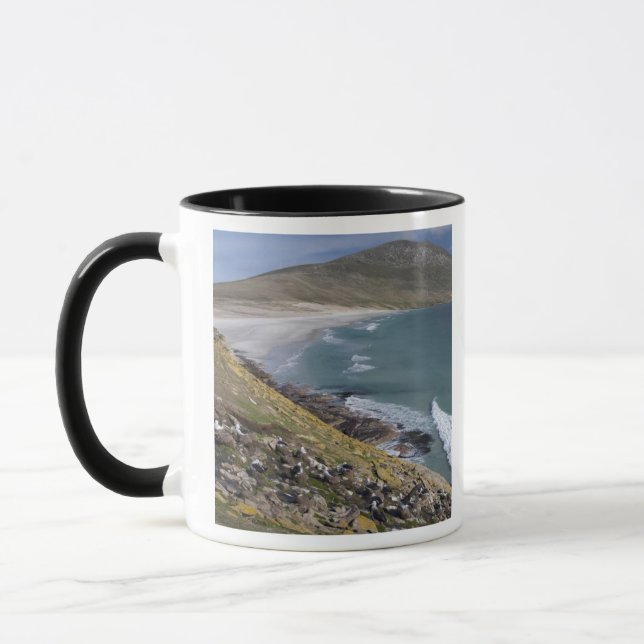 Caneca Ilhas Malvinas, Malvinas Ocidental, Saunders (Esquerda)