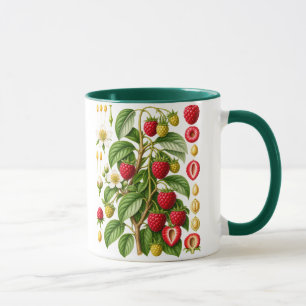 Caneca Ilustração Botânica Vintage de Framboesa