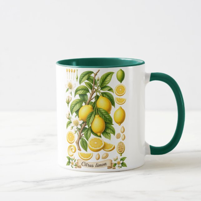 Caneca Ilustração Botânica Vintage de Limão (Direita)