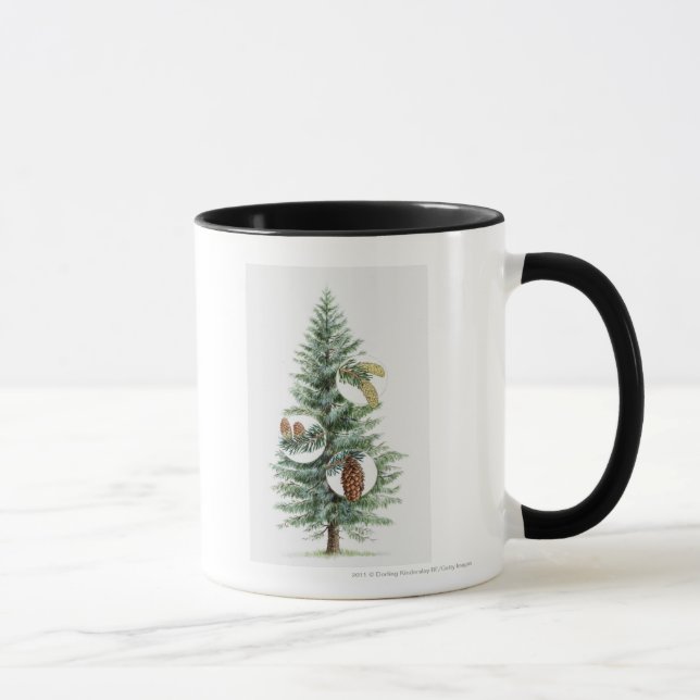 Caneca Ilustração da árvore conífera com cones (Direita)