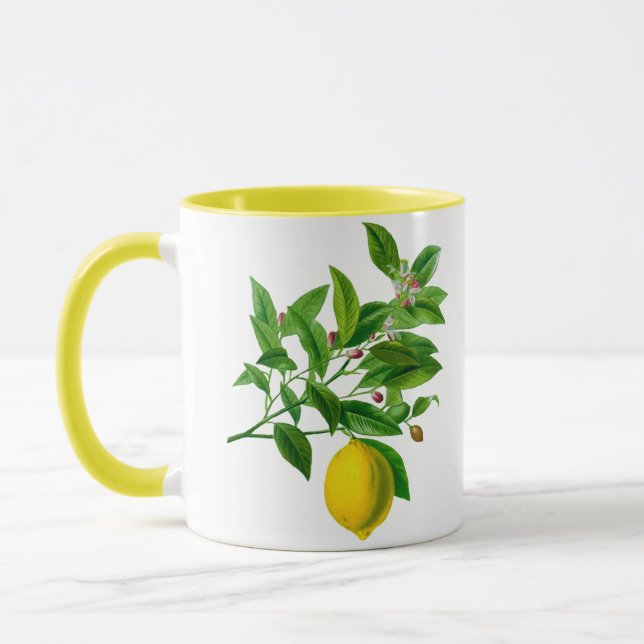 Caneca Ilustração de Limão Botânico Vintage (Esquerda)