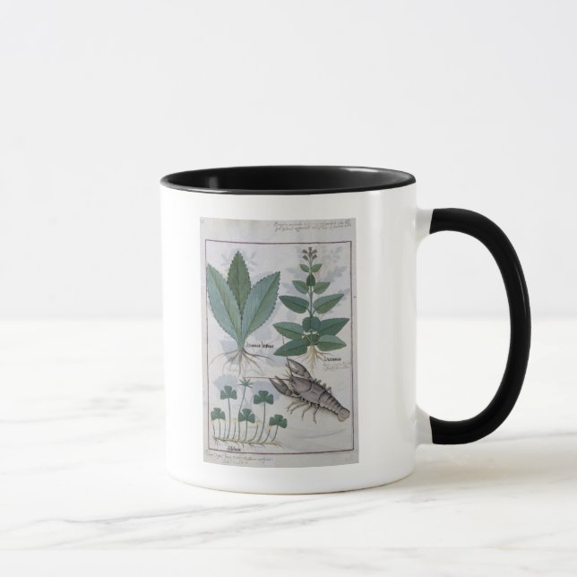 Caneca Ilustração 'do livro de medicinas simples (Direita)