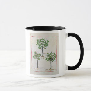 Caneca Ilustração 'do livro de medicinas simples