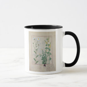 Caneca Ilustração 'do livro de simples