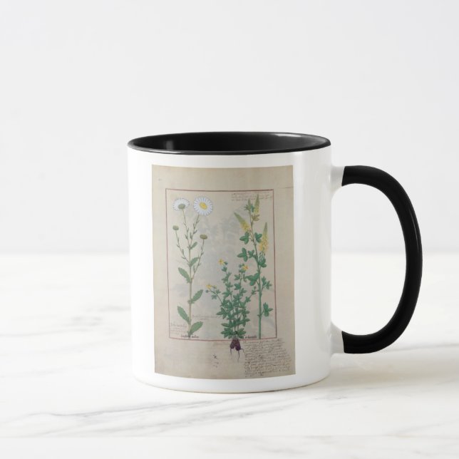 Caneca Ilustração 'do livro de simples (Direita)