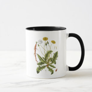 Caneca Ilustração Vintage Dandelion
