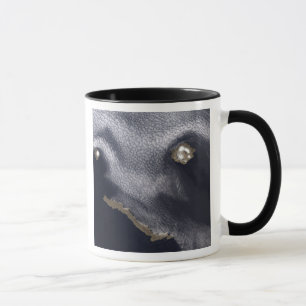 Caneca Imagem satélite da ilha de Semisopochnoi