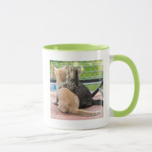 Caneca Imagens de Getty dois gatinhos em um balcão
