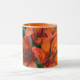 Caneca Impressão Botânica de Hemerocallis, Fotografia Can