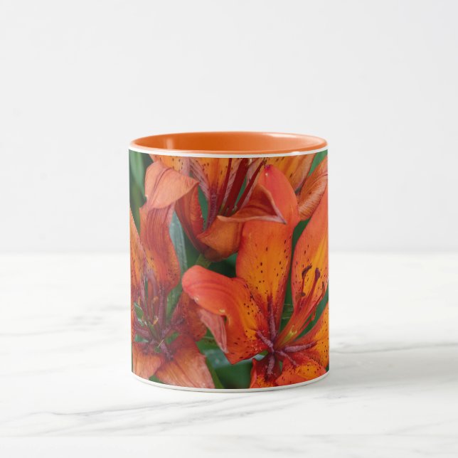 Caneca Impressão Botânica de Hemerocallis, Fotografia Can (Centro)