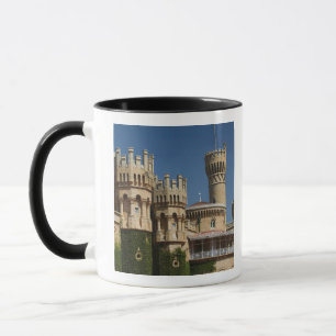 Caneca ÍNDIA, Karnataka, Bangalore: Palácio de Bangalor