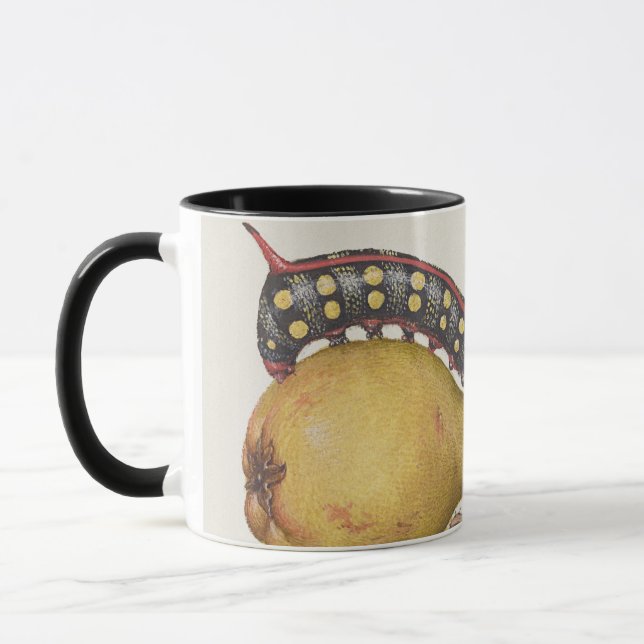 Caneca Insetos de jardim, Mosca, Lagarta, Pera, Centopéia (Esquerda)