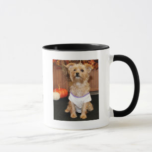 Caneca Irene - Shorkie - Photo-3