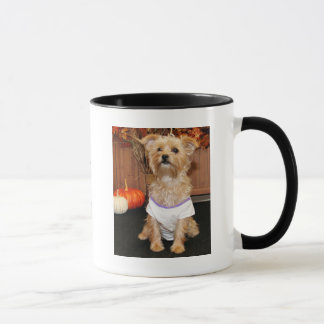 Caneca Irene - Shorkie - Photo-3