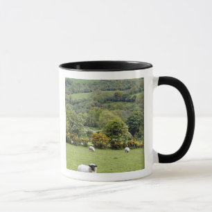 Caneca Irlanda Ocidental, Península de Dingle, ampla