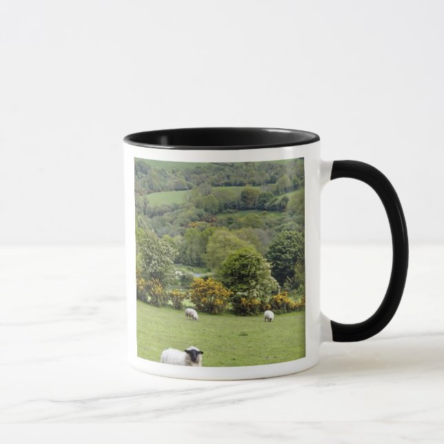 Caneca Irlanda Ocidental, Península de Dingle, ampla (Direita)