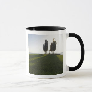 Caneca Itália, Toscana, Ciprestes na Toscana com