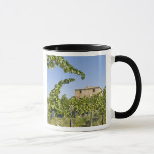 Caneca Itália, Toscana, Montepulciano. Uvas de vinho pron