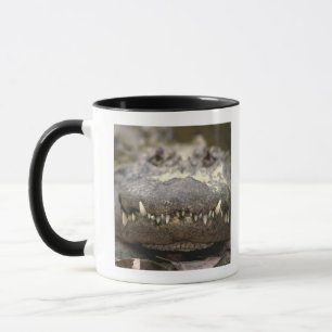 Caneca Jacaré americano