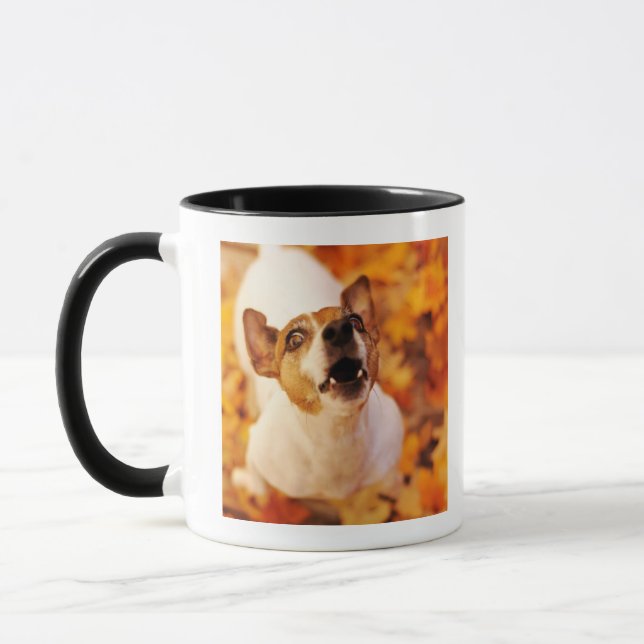 Caneca Jack Russell Terrier que descasca e que salta, (Esquerda)