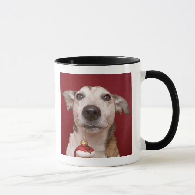 Caneca Jack Russell Terrier que guardara enfeites de (Direita)