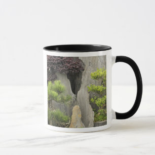 Caneca Jardim da família Bao, Huangshan, China. 2