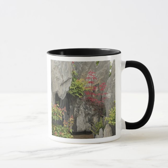 Caneca Jardim da família de Bao, Huangshan, China. (Direita)