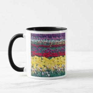 Caneca jardim de exposição de tulipas no condado de Skagi