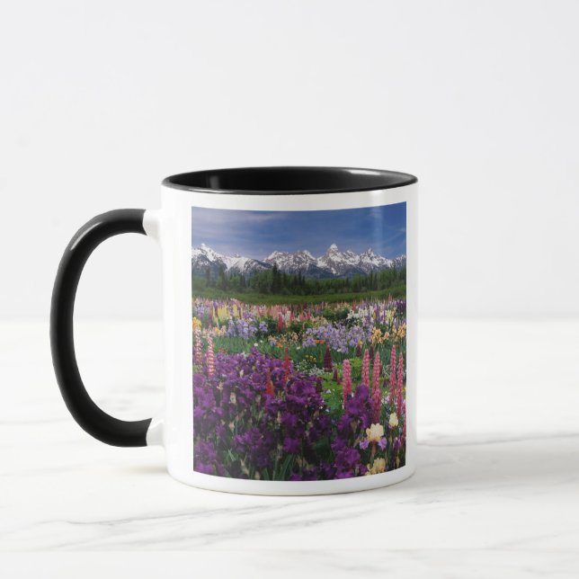 Caneca Jardim de Íris e Lupino e cordilheira Teton, (Esquerda)