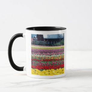 Caneca jardim de tulipas, condado de Skagit,