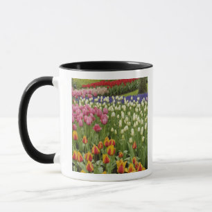 Caneca Jardim de tulipas e jacintos, Jardins Keukenhof,