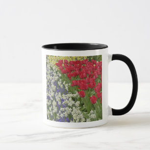 Caneca Jardim de tulipas e narcisos, Jardins Keukenhof,