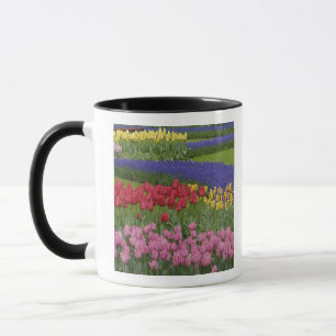 Caneca Jardim de tulipas, jacintos e