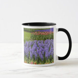 Caneca Jardim Tulip e Hyacinth, Jardins Keukenhof,